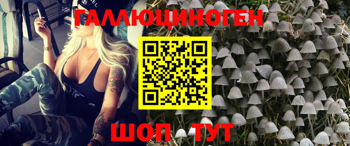 Тавда  Псилоцибиновые грибы Magic Shrooms  Вход с VPN 