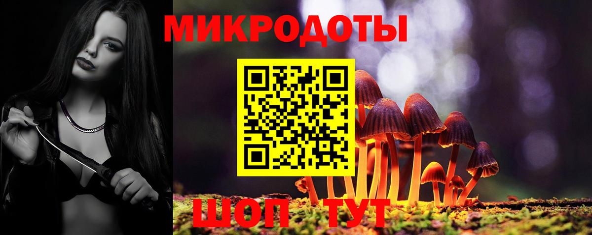 Псилоцибиновые грибы прущие грибы Тавда